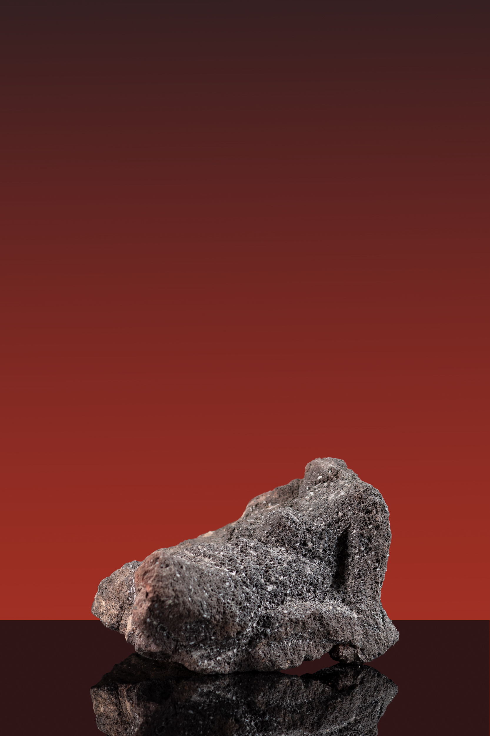 winzer_urmuetter_2006_fig06